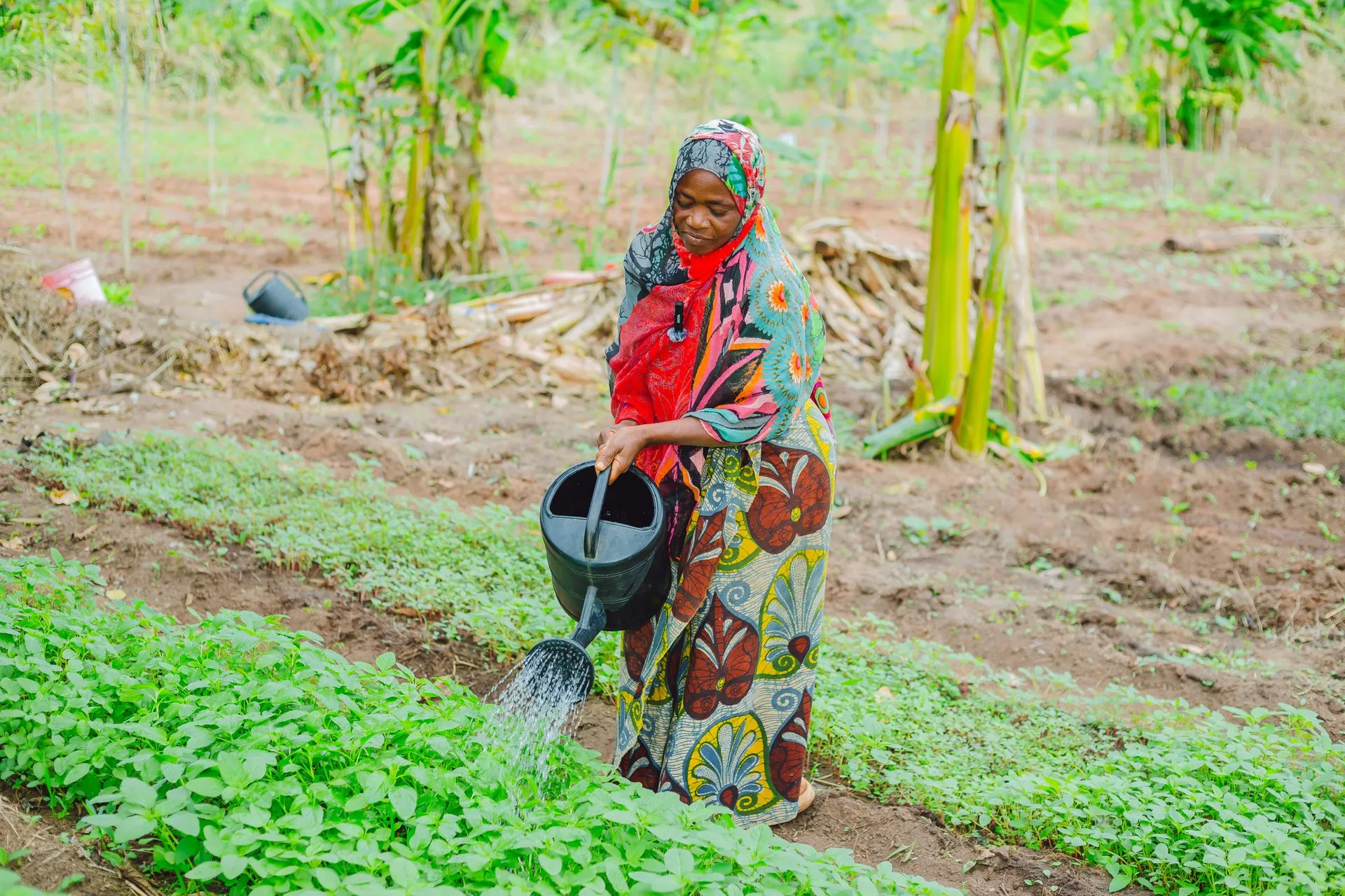 A woman waters plants in a lush garden in Tanzania